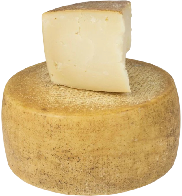 Aged Pecorino