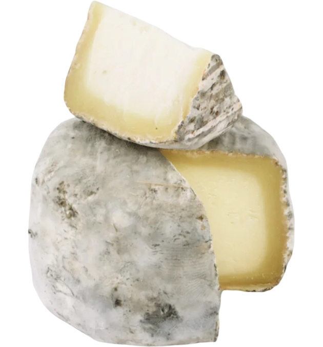 Crottin de Chavignol