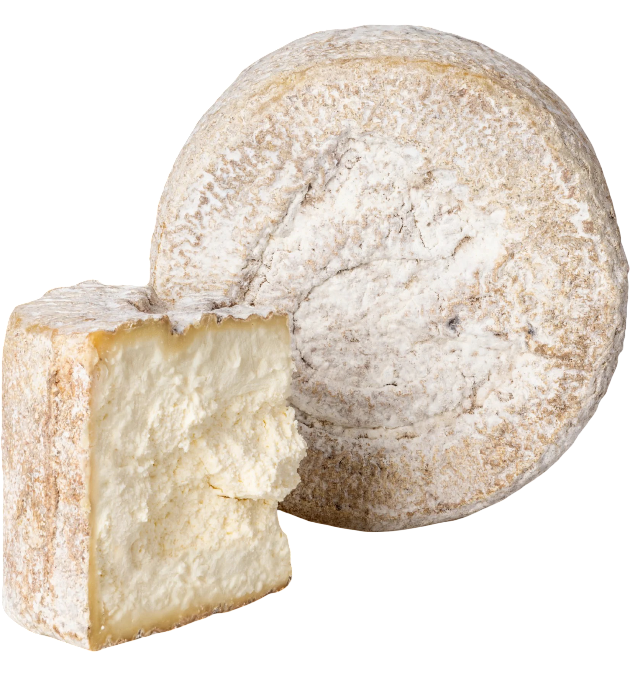 Castelmagno