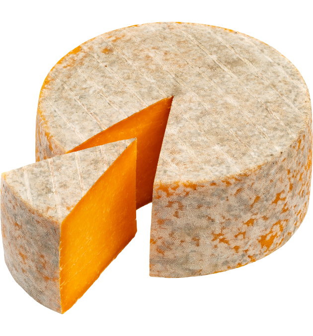 Double Gloucester