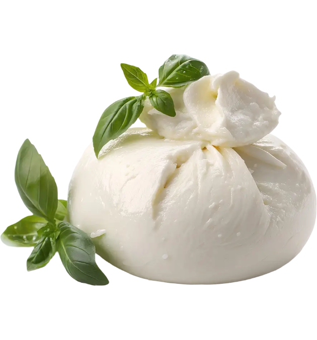 Fresh Burrata