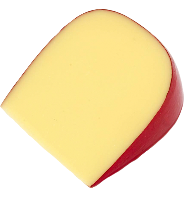 Gouda