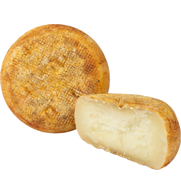 Mozzarella