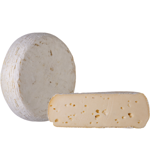 Robiola