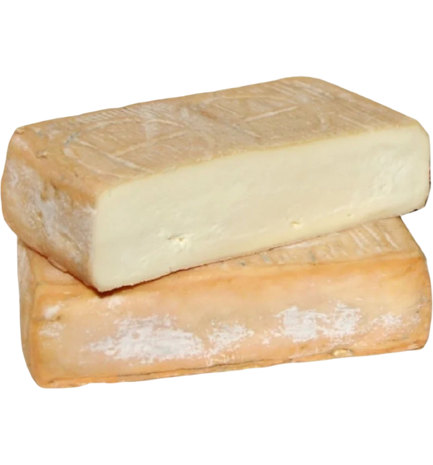 Taleggio