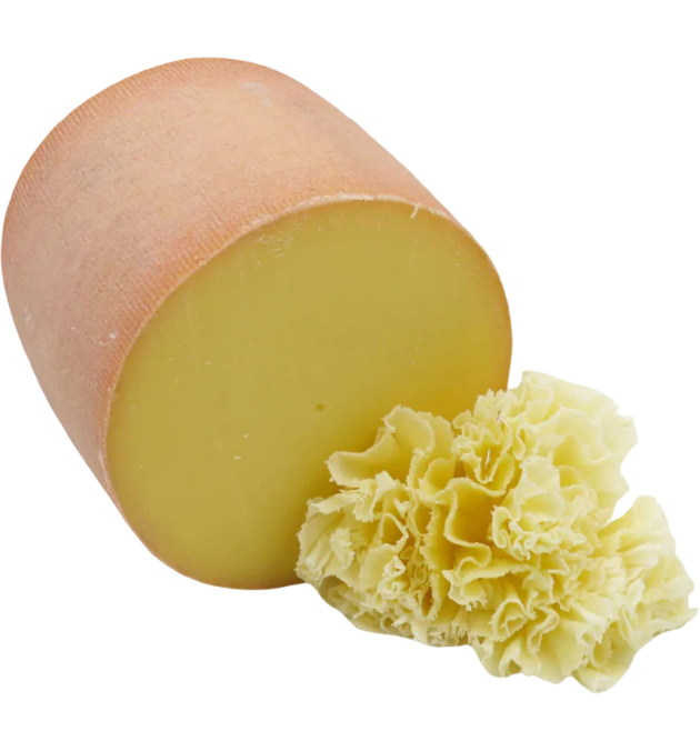 Tête de Moine