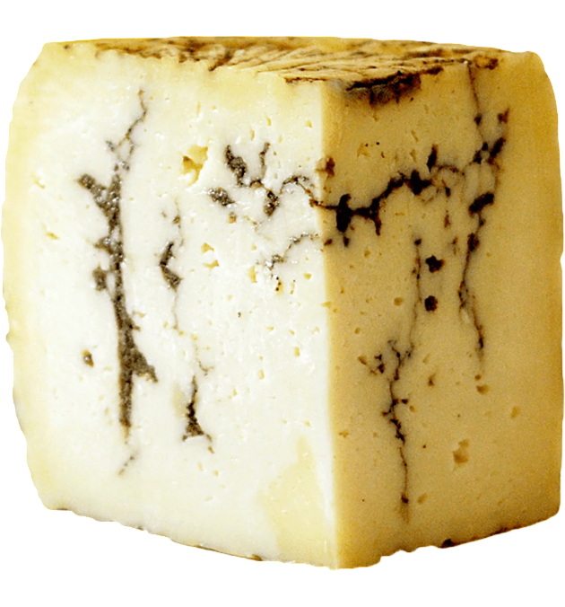 Truffle Pecorino