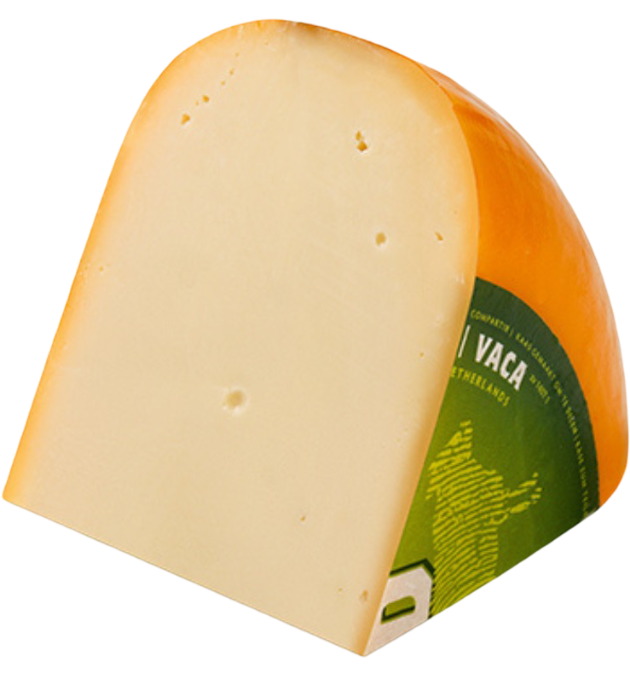 Young Gouda