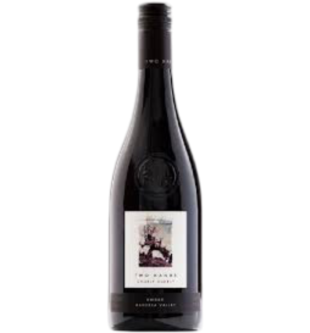 TWO HANDS GNARLY DUDES SHIRAZ