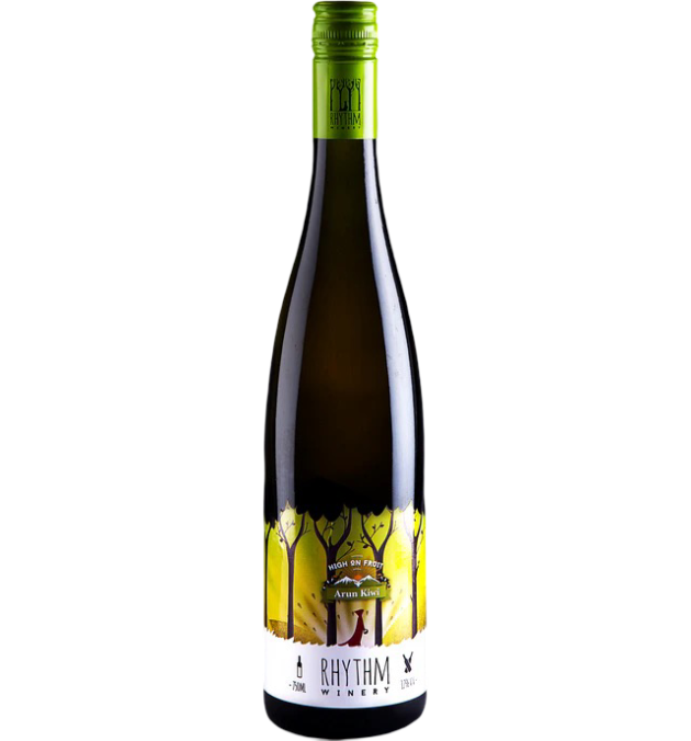 RHYTHM KIWI
